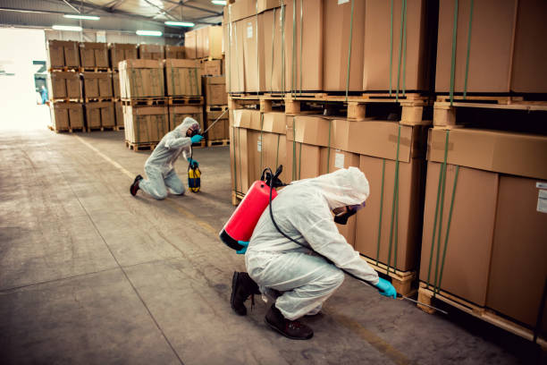 Best Mosquito Control Services  in Northfield, OH