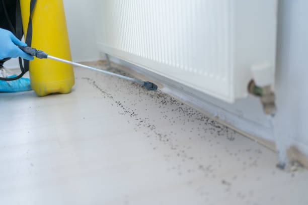 Best Pest Prevention Services  in Northfield, OH